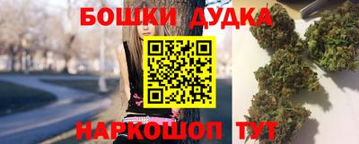 индика Будённовск