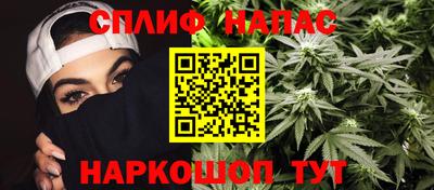 индика Будённовск
