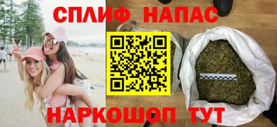 индика Будённовск