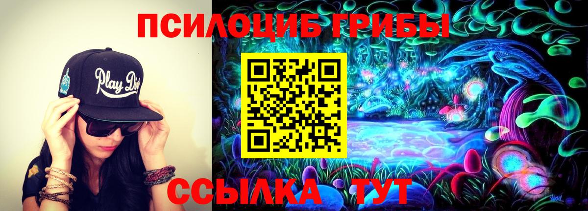 Тайшет  Псилоцибиновые грибы MAGIC MUSHROOMS  Вход с VPN  купить закладку  Галлюциногенные грибы MAGIC MUSHROOMS 